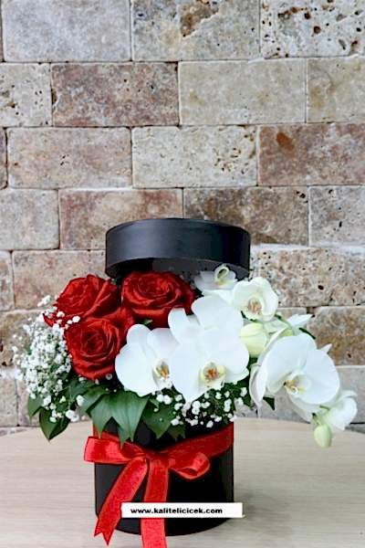 Kutuda Gül ve Orkide